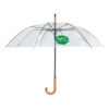 C113-Parapluie transparent automatique