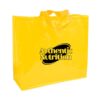 Sac de course PP
